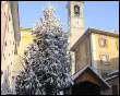 Zogno innevata